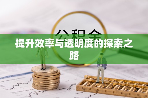 印江提升效率与透明度的探索之路