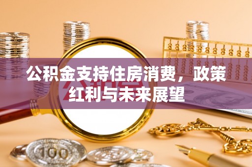 印江公积金支持住房消费，政策红利与未来展望
