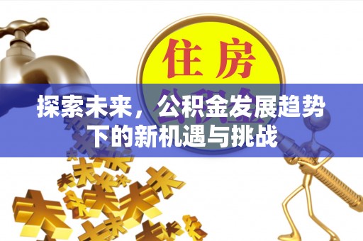 印江探索未来，公积金发展趋势下的新机遇与挑战
