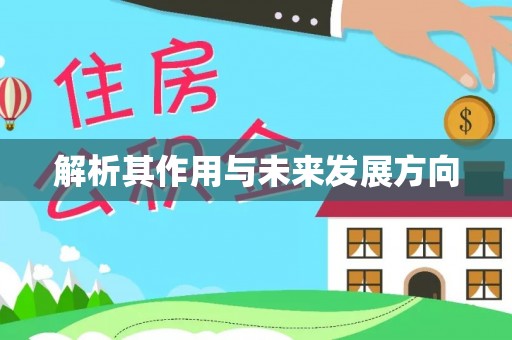 印江解析其作用与未来发展方向